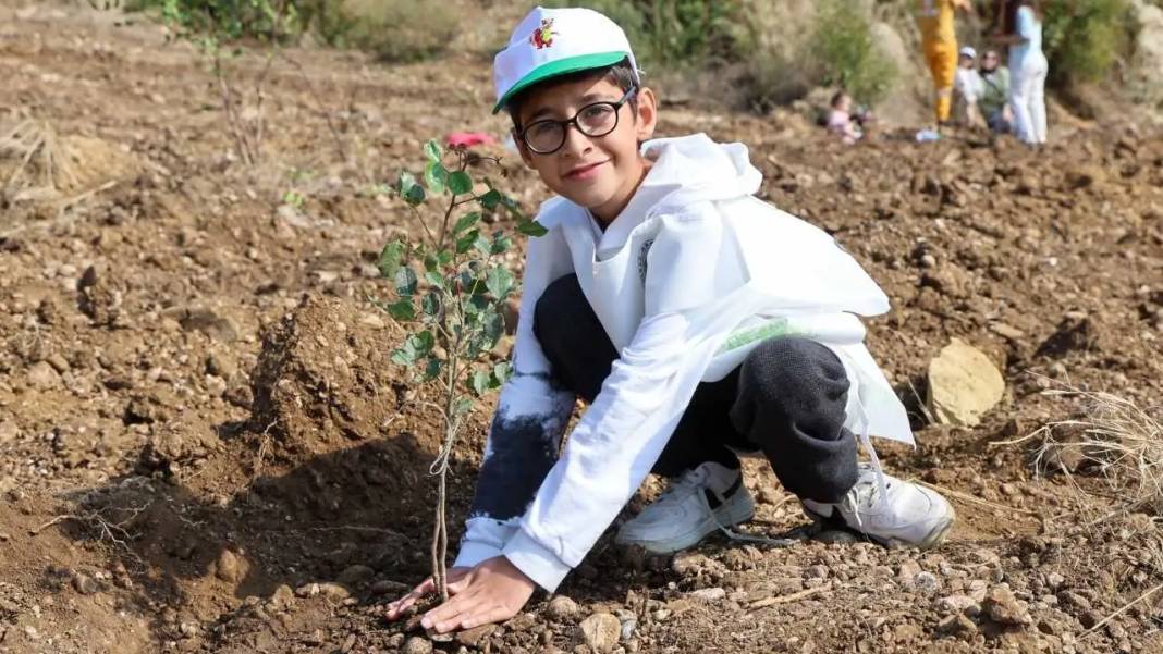 Manavgat’ta Kaybedilen Ormanlar İçin Seferberlik Sürüyor 5